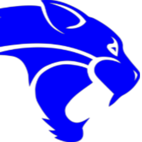 Wildcat